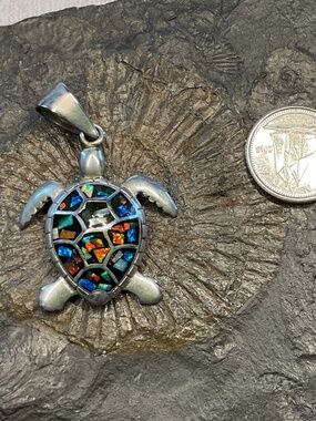 Taxco turtle